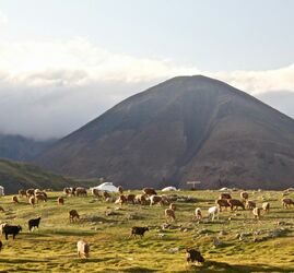 О 100 новых направлениях полетов, солнечном Белеке и космопейзажах Монголии