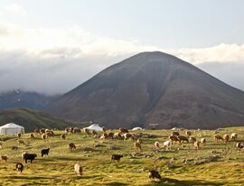 О 100 новых направлениях полетов, солнечном Белеке и космопейзажах Монголии